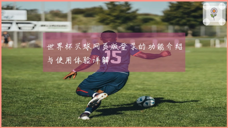 世界杯买球网页版登录的功能介绍与使用体验详解