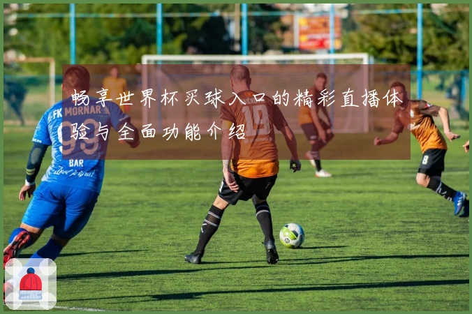 畅享世界杯买球入口的精彩直播体验与全面功能介绍