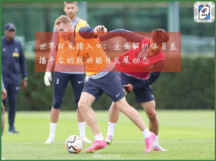 世界杯竞猜入口：全面解析体育直播平台的新功能与发展动态
