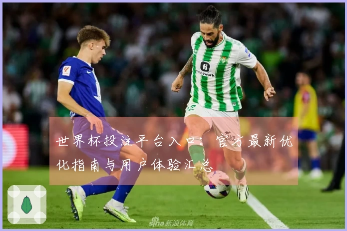 世界杯投注平台入口：官方最新优化指南与用户体验汇总
