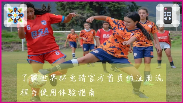 了解世界杯竞猜官方首页的注册流程与使用体验指南